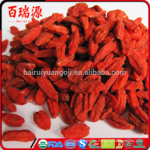 Bayas de goji frescas para la venta bayas secadas de goji bula de la baya de goji